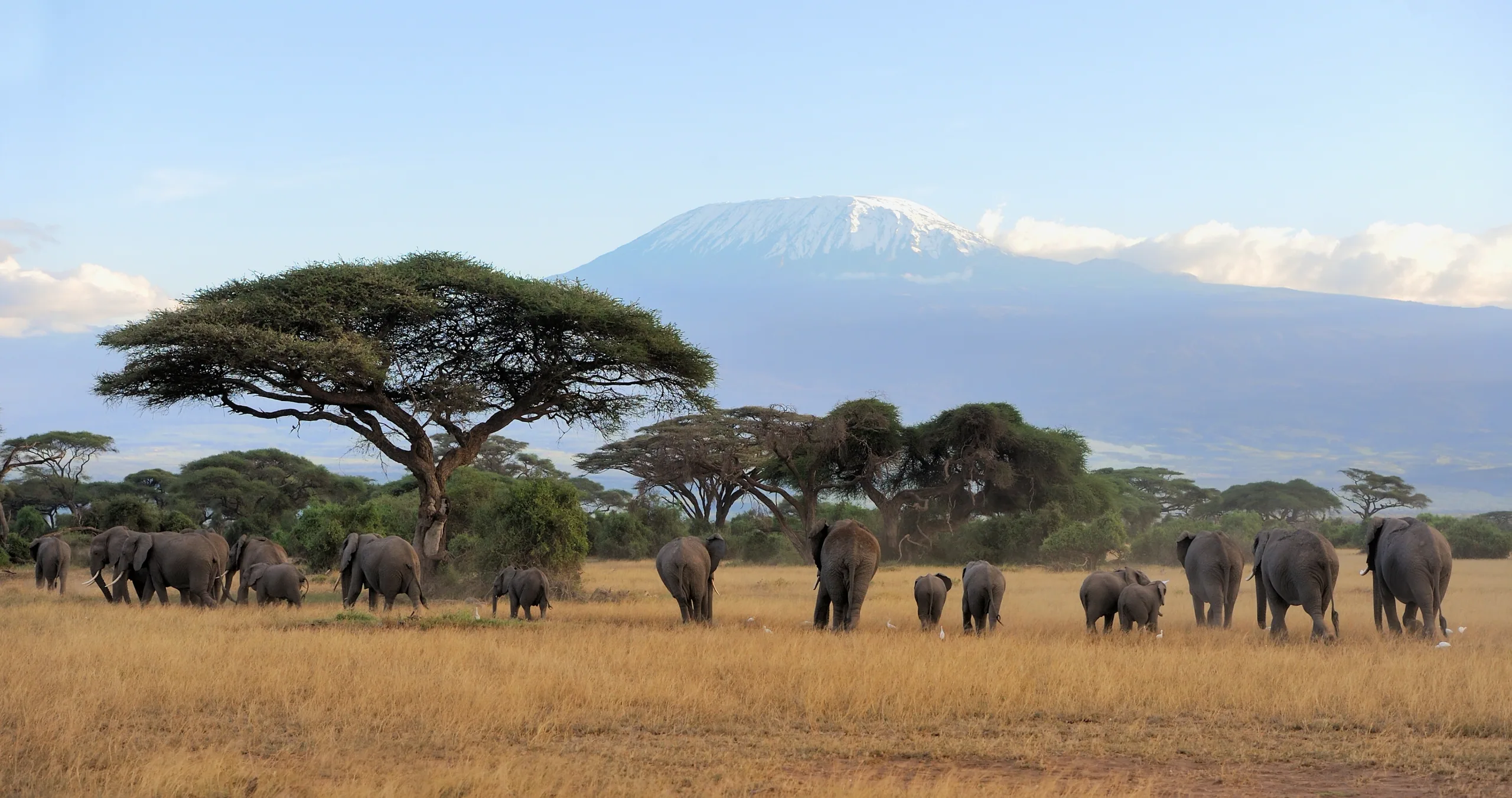 Amboseli, Kenya