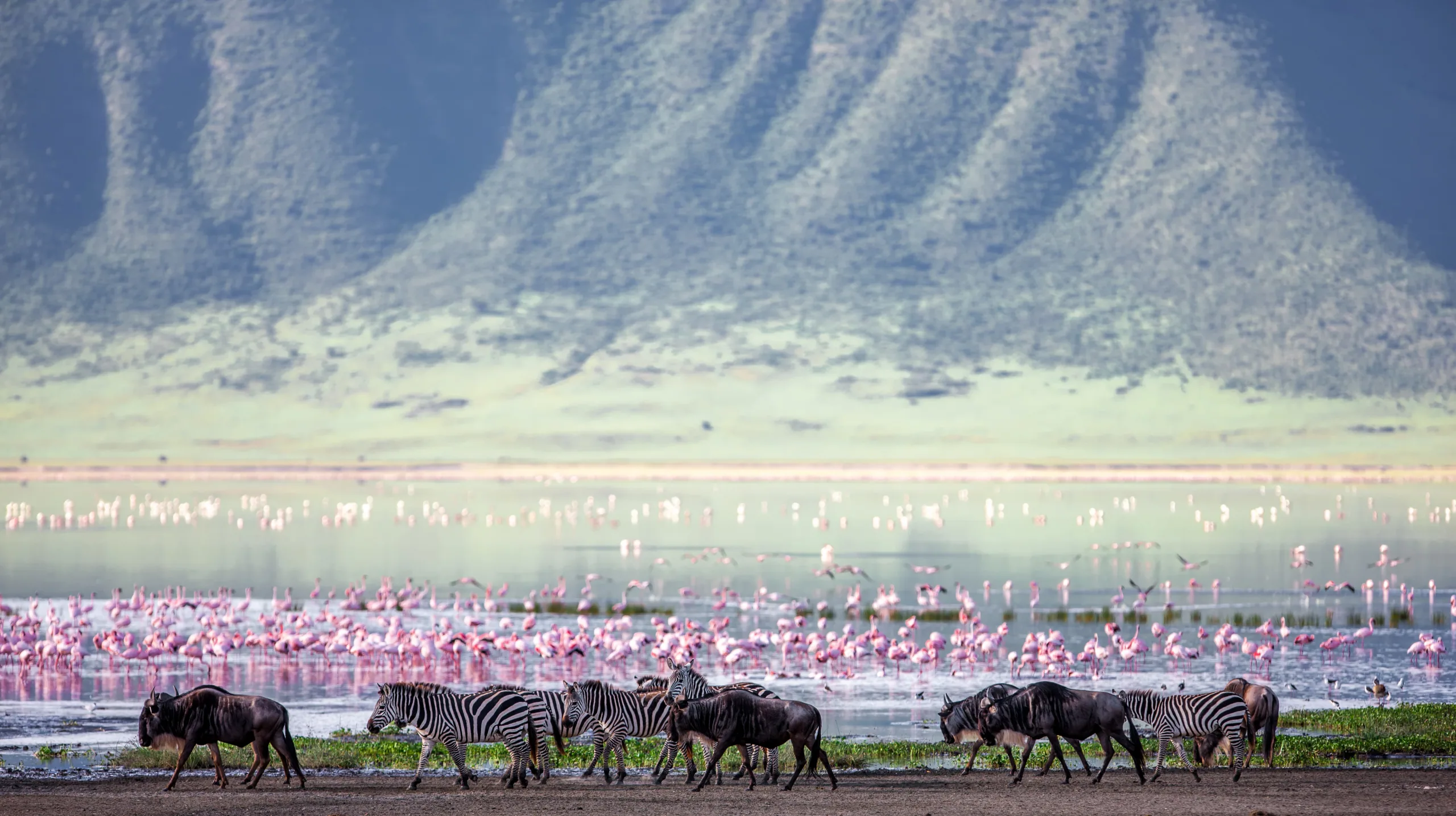 Safari landscapes of Tanzania